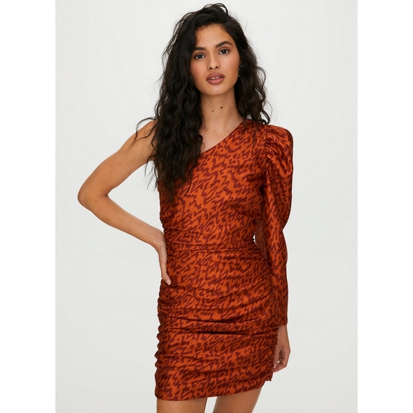 Aritzia Dresses & Skirts - Aritzia Wilfred Rhapsody dress one shoulder asymmetrical animal sz S